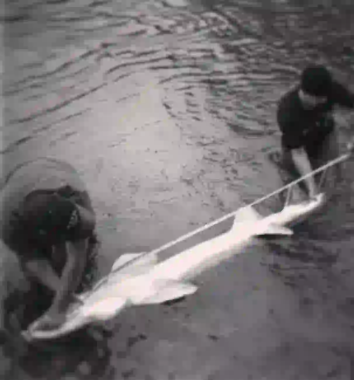 Dan and his cousin on the shoreline with a large sturgeon